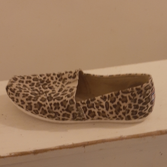 Cheetah paw print - Picture 1 of 1